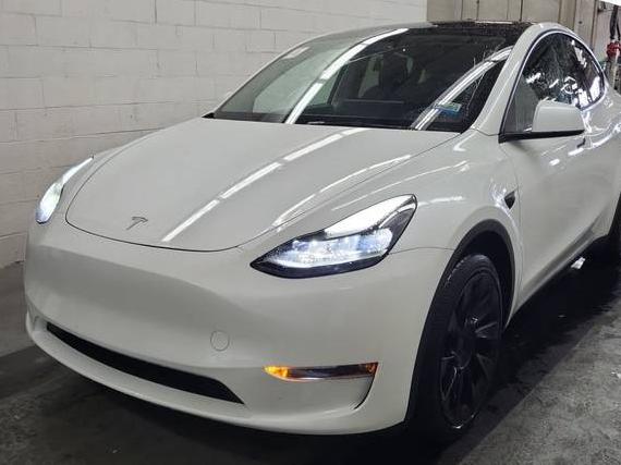 TESLA MODEL Y 2023 7SAYGDEE5PA023392 image